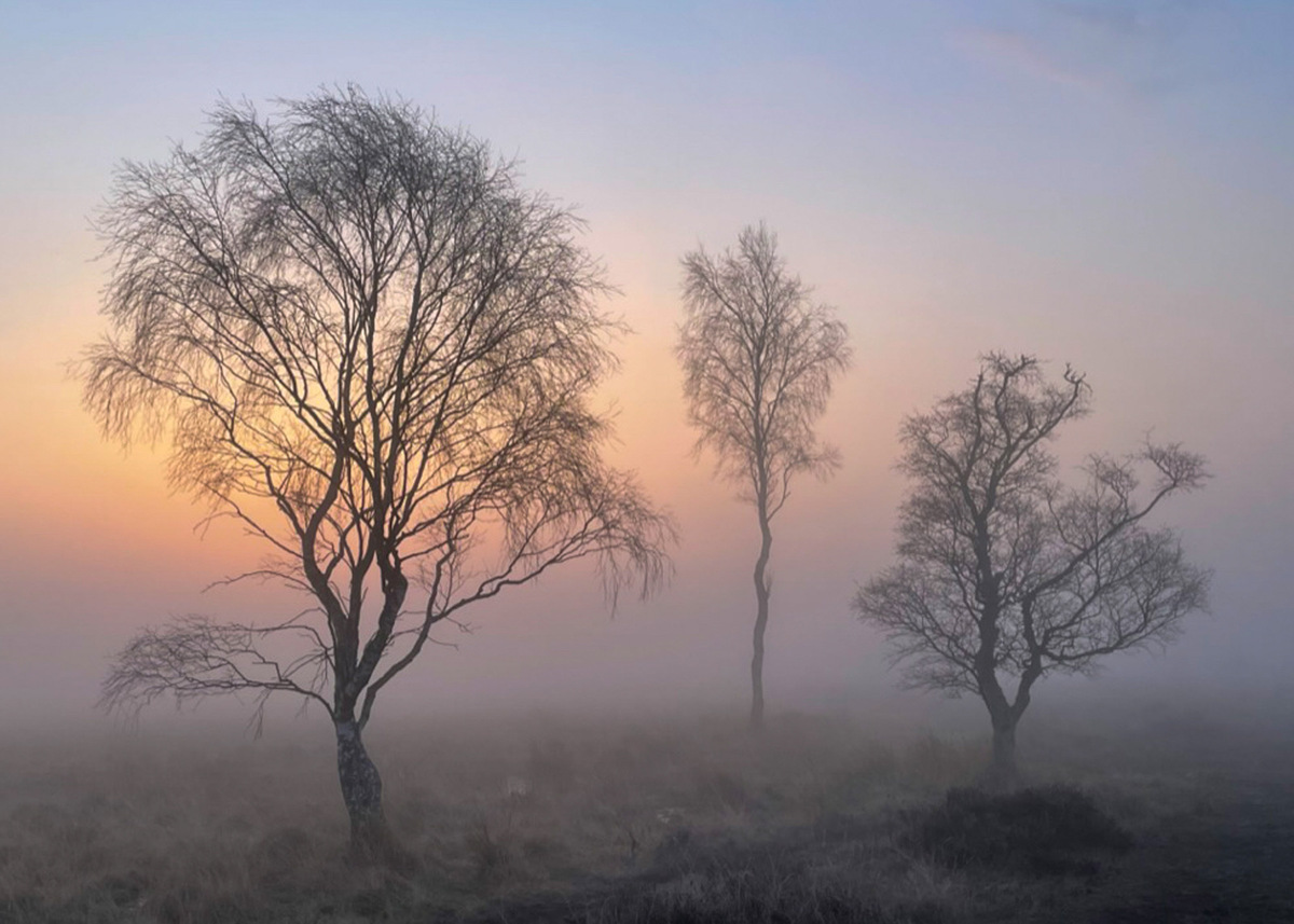 MH Misty sunrise on Strensall Common 